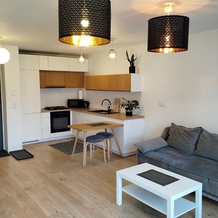 Studio Park Slaski M.10 Katowice/Хожув Екстер'єр фото